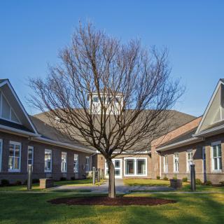 A courtyard with a tree in front of a building on a clear day.