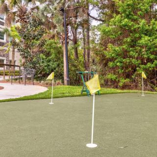 A serene putting green surrounded by trees with several flags marking holes.