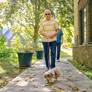 A man walks his dog along a sunny path lined with trees.