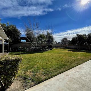 A sunny backyard with a well-maintained lawn, surrounded by trees and a fence.