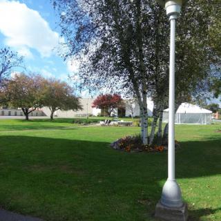 A serene park scene featuring trees and a lamp post under a partly cloudy sky.