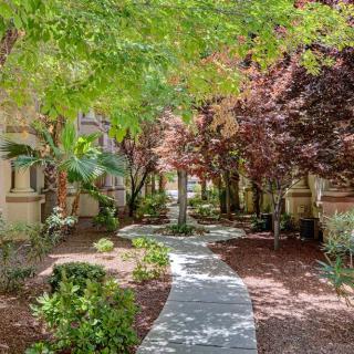 A winding pathway surrounded by lush trees and well-maintained landscaping.