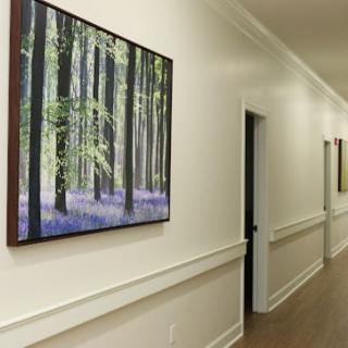 A hallway featuring framed artwork depicting a forest scene, with doors leading to adjacent rooms.