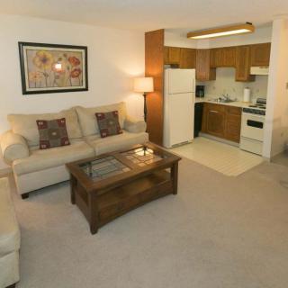 A cozy living room with an open kitchen layout, featuring a comfortable sofa and a coffee table.