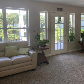 A cozy living room with a sofa, large windows, and several indoor plants.