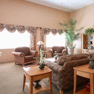 A cozy living room with plush seating, elegant curtains, and greenery.