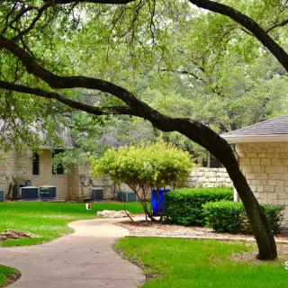 A serene landscape with a curved tree branch overhanging a stone pathway, surrounded by lush greenery and buildings.