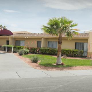 A single-story residential building with a palm tree and well-maintained landscaping.