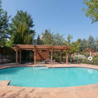 A serene outdoor swimming pool with a wooden pergola surrounded by lush trees on a sunny day.