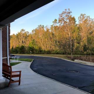 A serene view of a pathway lined with trees displaying autumn colors.