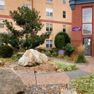 An urban garden landscape with rocks and plants in front of a building entrance.