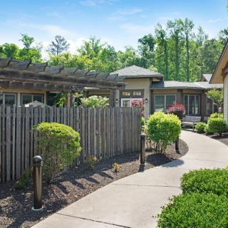 A peaceful garden setting with a winding pathway surrounded by manicured shrubs and a wooden fence.