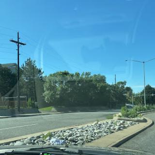 A sunny day showcasing a road with greenery and a clear blue sky.