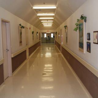 A well-lit indoor hallway with decorative plants and simple decor.