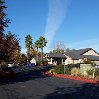 A quiet suburban street lined with palm trees and houses under a clear blue sky.