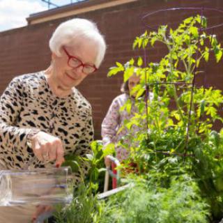 An elderly woman tending to her garden on a sunny day.