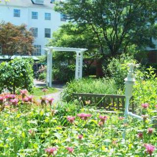 A lush garden filled with blooming flowers and a white archway, offering a serene outdoor retreat.