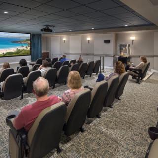 People seated in a small theater watching a film on a large screen.