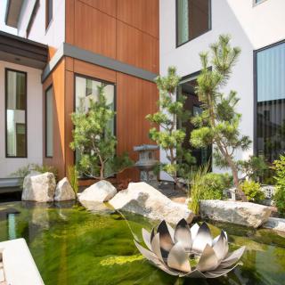 A modern home exterior featuring a serene garden with a pond and lush greenery.