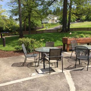 A sunny patio area with tables and chairs, surrounded by greenery.