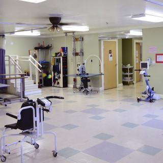 A physical therapy clinic with various exercise equipment and rehabilitation tools.