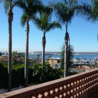A scenic view from a balcony overlooking palm trees and the ocean under a clear blue sky.