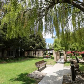 A serene park setting with a pathway leading through lush greenery and benches under the shade of trees.