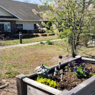 A sunny garden with a raised bed full of plants and a tree nearby, set against a backdrop of a house.