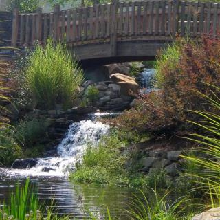A serene landscape featuring a small waterfall flowing under a wooden bridge surrounded by lush greenery.