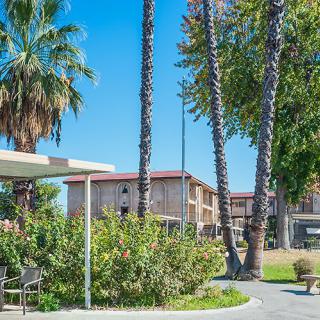 A sunny park with palm trees, benches, and a building in the background.