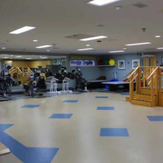 A well-equipped indoor gym with various exercise machines.