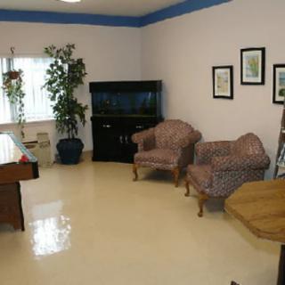 A cozy living room with chairs, a fish tank, and plants.