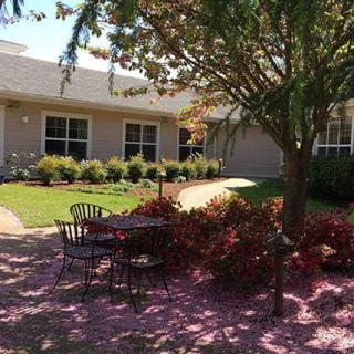 A peaceful garden area with a table and chairs surrounded by trees and flowering bushes, under bright sunlight.