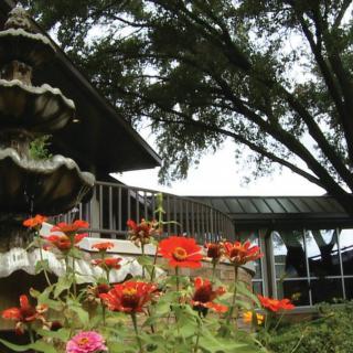 A scenic view of a garden with vibrant flowers and a fountain, set against a backdrop of trees and a building.
