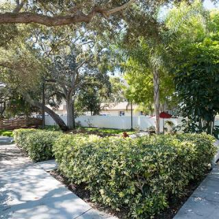 A serene outdoor garden with lush greenery and a winding pathway.
