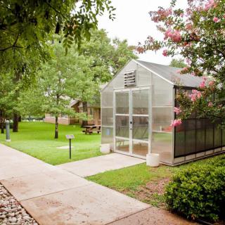 A tranquil outdoor scene featuring a greenhouse surrounded by lush greenery and a paved walkway.