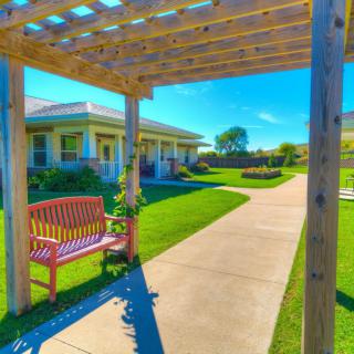 A sunny garden with a bench under a pergola, surrounded by lush grass and a clear pathway.
