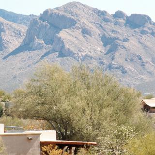 A desert landscape with mountains in the background and trees near houses.