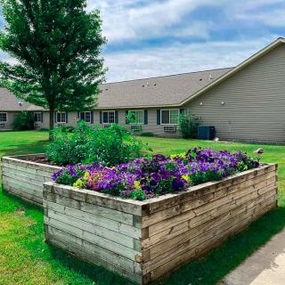 A vibrant raised garden bed filled with colorful flowers in a residential backyard setting.