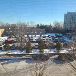 A view of a snowy parking lot with trees and buildings in the background under a clear blue sky.