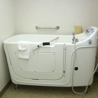 A walk-in bathtub designed for accessible and safe bathing, featuring a side door and handrails.
