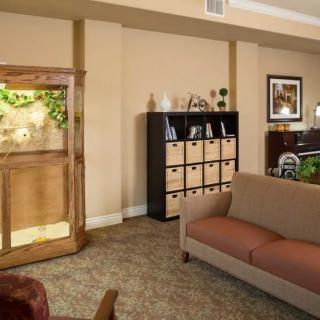 A cozy living room with a sofa, bookshelf, and decorative items.