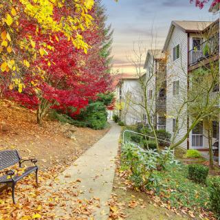 A serene residential pathway lined with vibrant autumn trees and a park bench.