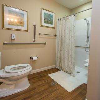 A spacious and accessible bathroom with grab bars, featuring a toilet and shower area.