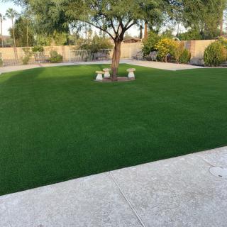 A well-maintained garden with a lush lawn, a tree, and benches.