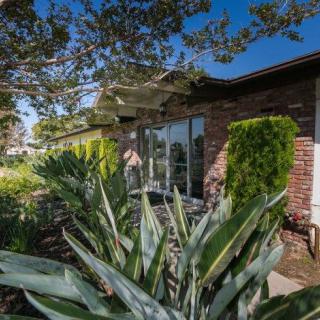 A brick house with large windows surrounded by lush greenery and plants under a clear blue sky.