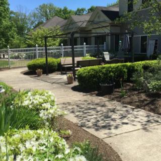 A beautifully landscaped garden with a paved pathway and lush greenery on a sunny day.