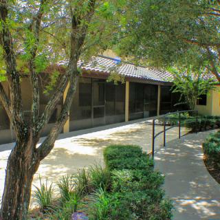 A shaded pathway lined with trees and shrubs leads to a building with a tiled roof.