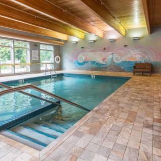 Indoor swimming pool with a wooden ceiling and mural on the wall.