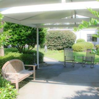 A tranquil outdoor seating area under a canopy, with lush greenery and a pathway.